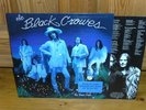 THE BLACK CROWES=BY YOUR SIDE=MINT=LED ZEP=DEF AMERICAN