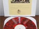 NEIL YOUNG BBC BROADCAST LP LIVE UNAUTHORIZED K&S 050