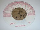 Wayne Smith Life Is A Moment In Space Killer 7