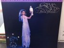 Stevie Nicks 