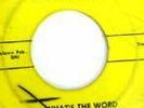 Rockabilly Surf 45  The Thunder Rocks What's The Word