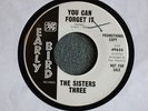 TEFTELLER NORTHERN The Sisters Three You Can Forget it