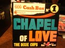 the dixie cups.