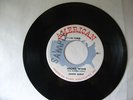 TEEN ROCKER 45 JACKIE HURST NIGHT WIND AMERICAN 1001