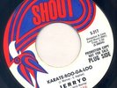SHOUT 45 KARATE-BOO-GA-LOO/THE PEARL JERRYO promo ?