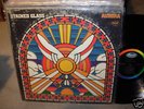 STAINED GLASS aurora - capitol -