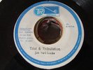 Jah Earl Locks Trial & Tribulation Roots 7