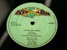 D’NATIONS-Level De Vibes-RARE UK KINGJAM Digi-Roots 12”