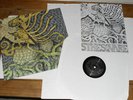 Circle Takes the Square As the Roots Undo LP Saetia OOP