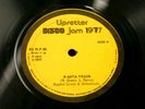 RAPHAEL GREEN-ALIMANTADO Lee Perry-Rasta Train-ORIG 12”