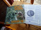 SAVOY BROWN LOOKING IN 1970 TOP MINT UK PRESS 