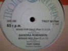 Sandra Robinson-Sensi For Sale 12