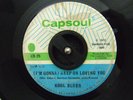 Soul Funk 45 KOOL BLUES Keep On Loving You on Capsoul