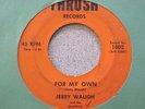 Jerry Waugh & The Skeptics-For My Own RARE GARAGE 45