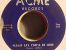 The Sunbeams 1957 Doo-Wop 45 on Acme Please Say You'll