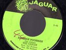 THE CABLES - RICHMAN POORMAN / [JAGUAR]