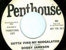 Bobby Jameson Find My Roogalator Northern Soul 45 Hear