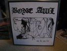 bone awl - not for our feet PIC LP ashdautas volahn
