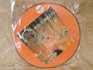 SLAYER - HELL AWAITS RARE LIMITED PICTURE DISC 1985
