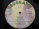 ERROL DUNKLEY - PRAISE JAH / BUSHAYS 12''.....HEAR