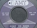 Doo Wop 45  The Sheiks on Amy  Beautiful Copy