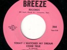 raw hick bopper 45 HILLBILLY HERMAN ON BREEZE 366