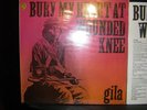 Vinyl LP --Gila- Bury My Heart At Wounded Knee