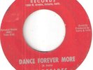 SURF  GARAGE  THE DECADES  DANCE FOREVER MORE   DAYTONE