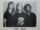 THE TRIO A Splendid LP Private Press High School Psych