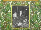 The Leaves - Hey Joe LP on Mira Jimi Hendrix Psych Fuzz