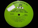 Incredible Simon Stokes & The Black Whip Thrill LP PRO
