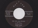 RARE MD. ROCKER RANDY FISHER I've Got the Feeling M-