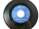THE ESSEX / CEMETARY STOMP/ PRAY FOR SURF/ BEST 101/VG+