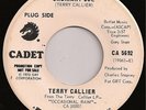 TERRY CALLIER-Ordinary Joe 45 NORTHERN SOUL-PROMO MP3