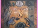 JOY UNLIMITED - SCHMETTERLINGE - PILZ LABEL - TOP VINYL