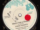 JUNIOR HIBBERTS REALLY FOR A REASON OG UK ETHNIC CLIP