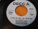 5 Late 60s Rock: Ronnie James Reincarnation; The Tweeds