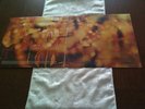 STEAMHAMMER. REFLECTION.RARE MONO.CBS. A1/B1.EX/EX+