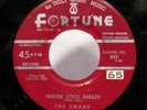 The SWANS mister cool breeze FORTUNE Detroit DOO WOP