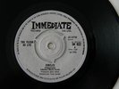 THE FLEUR DE LYS * CIRCLES * PSYCH FREAKBEAT KILLER NM