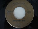 The Mystic Tide  Garage band 45 record 