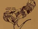 MURPHY BLEND First Loss LP KRAUT PSYCH MASTERPIECE MINT