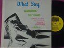 RARE SURF PUNK LP AGENT ORANGE PYRAMIDS RAIDERS N.MINT