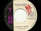 Rockabilly 45-Jericho Jones 