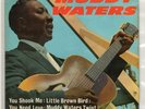 MUDDY WATERS      EP   You shook me  PYE  GB
