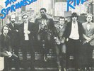 BRUCE SPRINGSTEEN   1st pres. 45 Spain PS 1981 RIVER NM