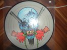 Metallica - Evil never dies PICTURE