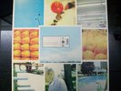STARFLYER 59-FASHION FOCUS LP 1998 PUNK BRAID LIFETIME