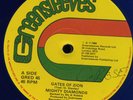 Mighty Diamonds - Gates Of Zion on Blue Wax 12