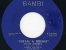 Mood Makers-Dolores-Bambi Doo Wop 45 